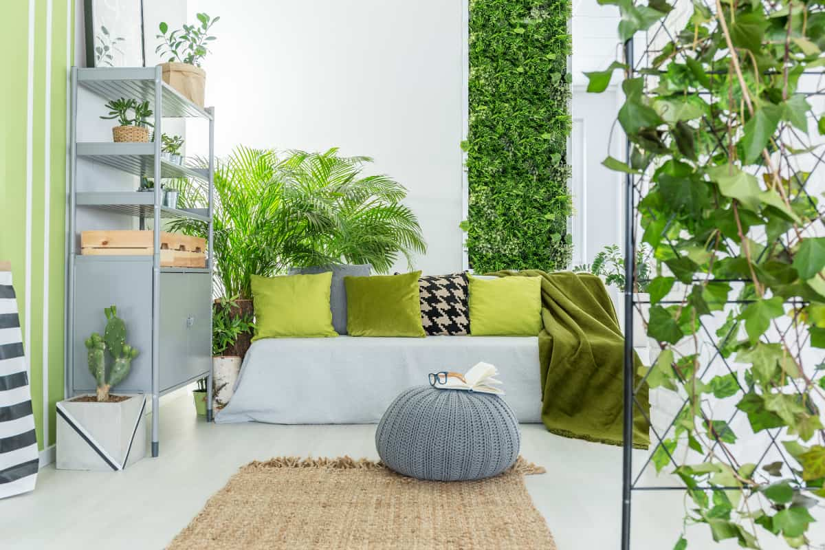 Livingroom with garden wall and lush plants.