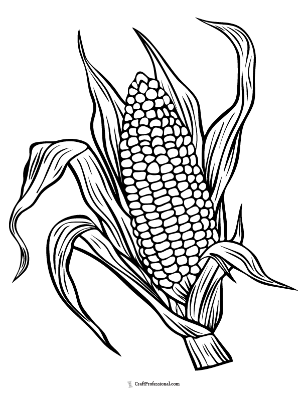 Ear of corn coloring page