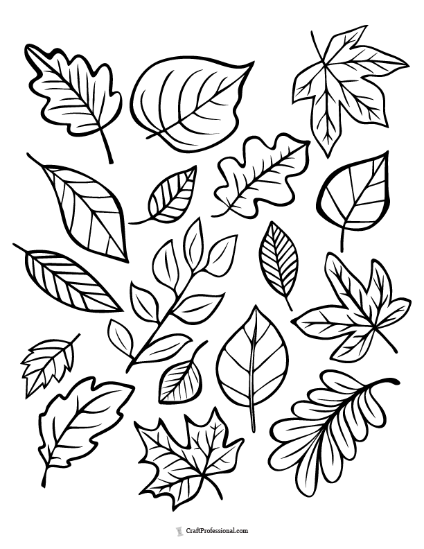 Collage of fall leaves coloring page