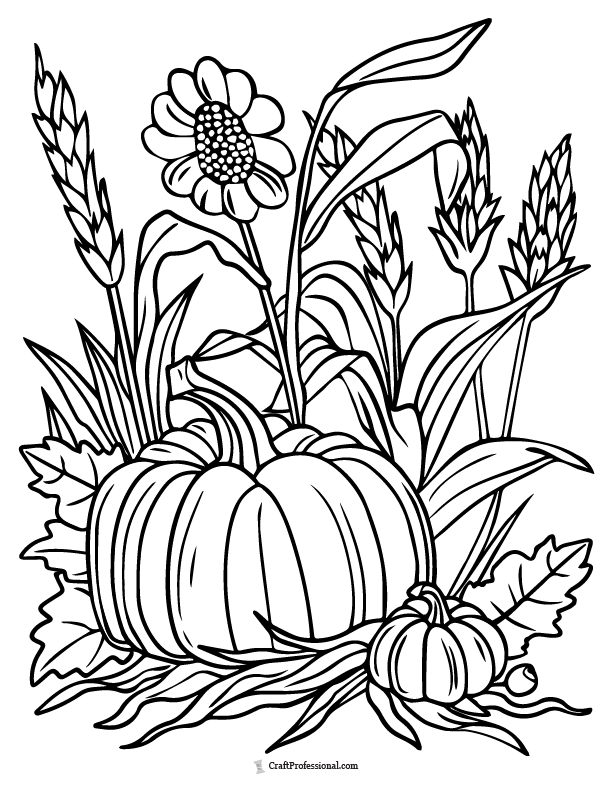 Coloring page of pumpkin surrounded by wheat and a sunflower