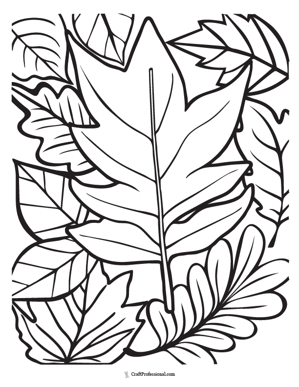 Collage of autumn leaves coloring page