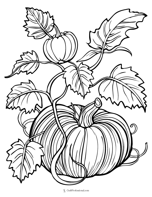 27 Pumpkin Coloring Pages - Free Printables for Kids & Adults to Color