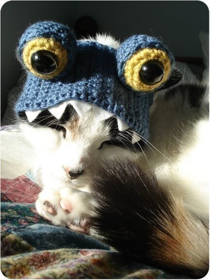 26+ Free Crochet Cat Costume Pattern